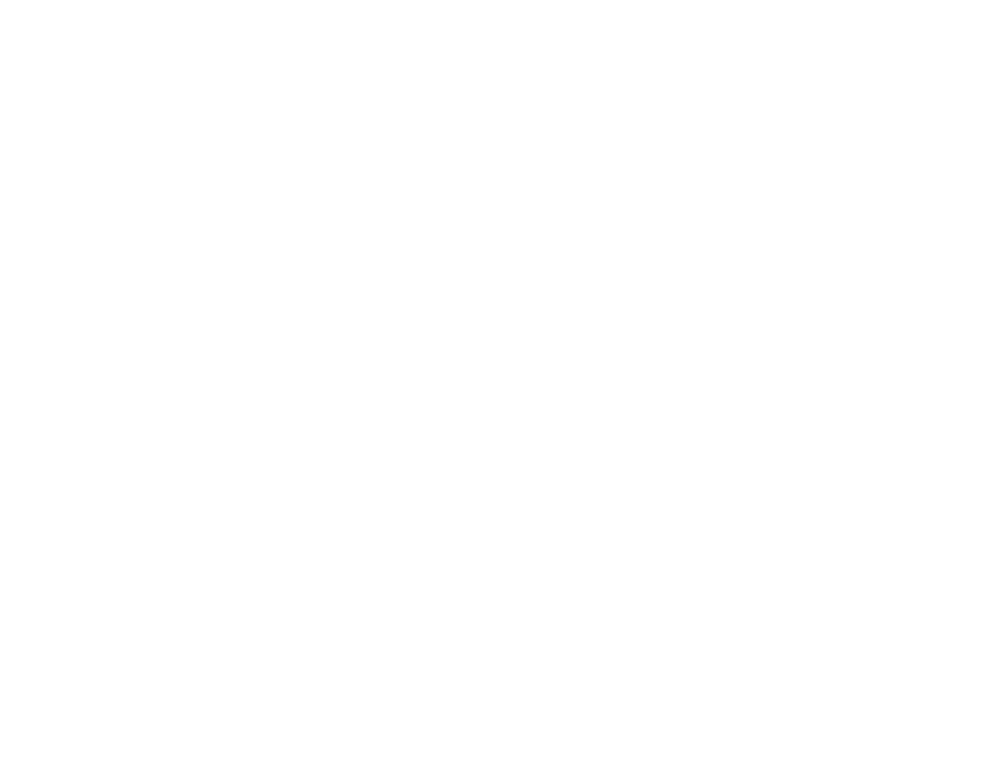 Logo Le Pic Sonore Logo Le Pic Sonore